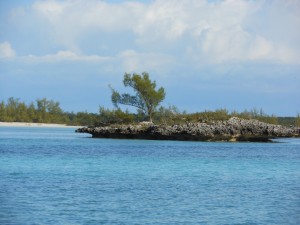 The secret bonefish flats of the Abacos