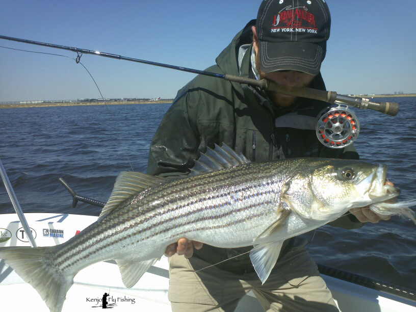 jamaica bay Archives - Kenjo Fly Fishing Charters