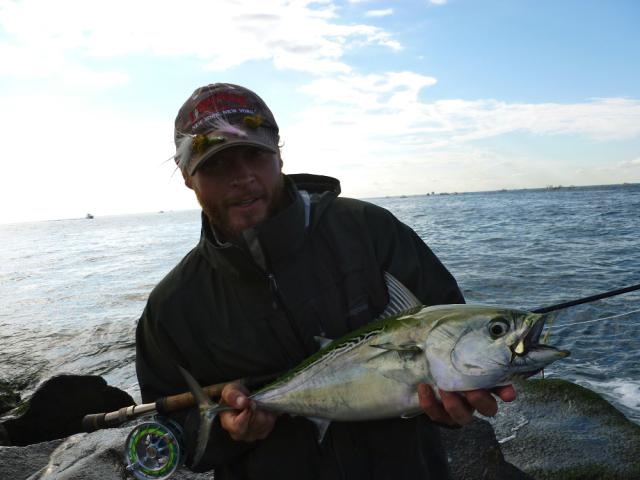 Blog Archives - Kens Offshore Fishing Lures & Tackle