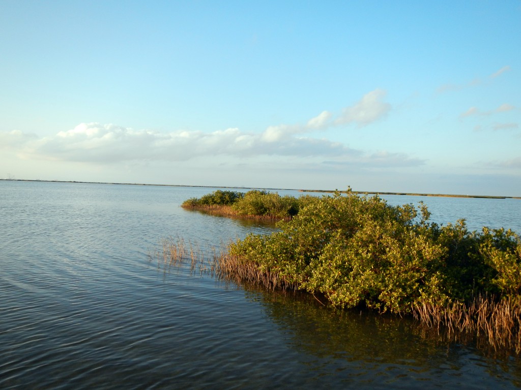mangrove cays