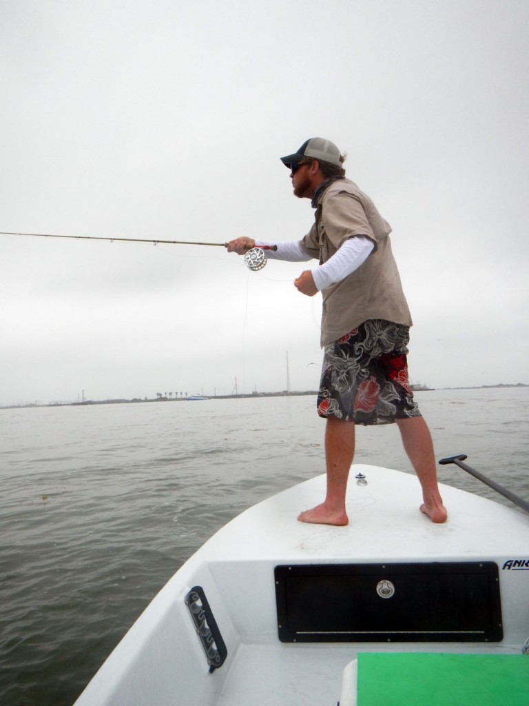 saltwater fly fishing, jacks, texas, coastal bend