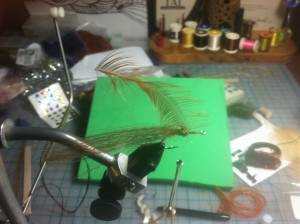 Fly Tying Step 5 - add hackle tie in at tip