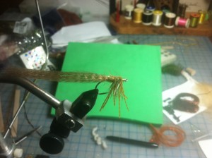 Fly Tying Step 8 - palmer hackle forward, behind, between and in front of legs