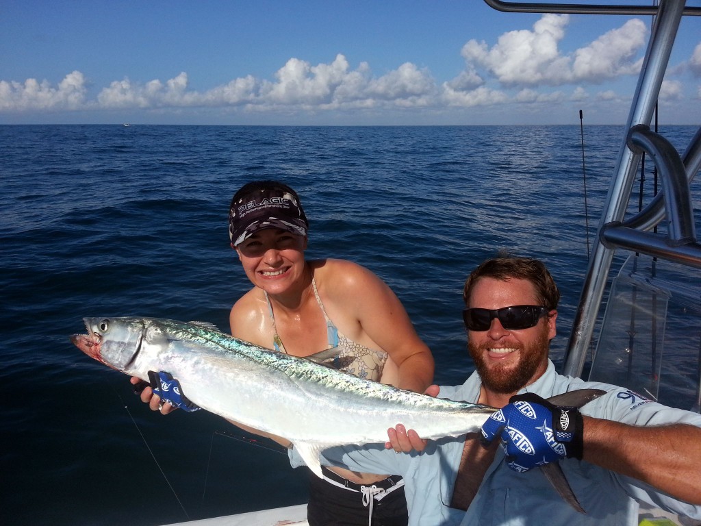 kingfish, mackerel, gulf of mexico, live bait