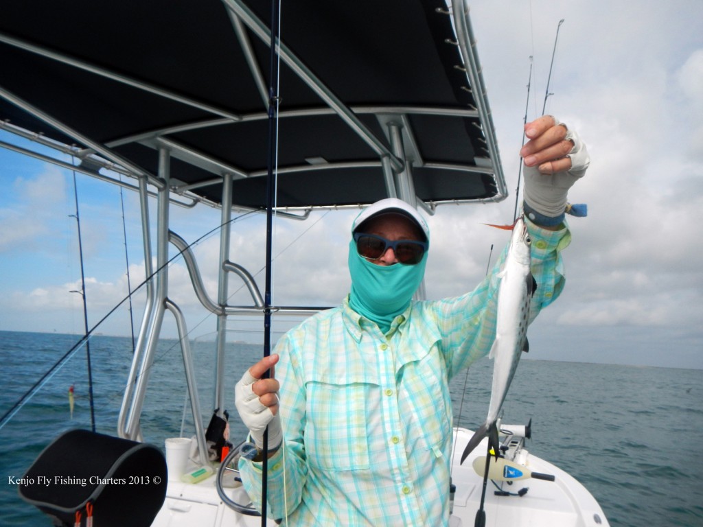 gulf mexico spanish mackerel fly fishing charters