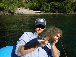 large brown trout streamer flyfishing argentina patagonia river guides prg