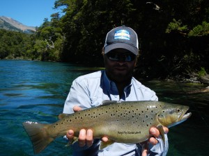 huge brown trout stream flyfishing argentina patagonia river guides prg