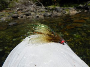 steelhead fly trout streamer flyfishing argentina patagonia river guides prg