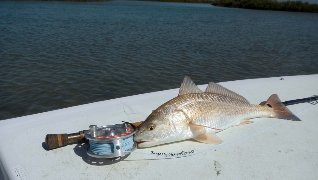 saltwater, fly fishing, texas, coast, guide