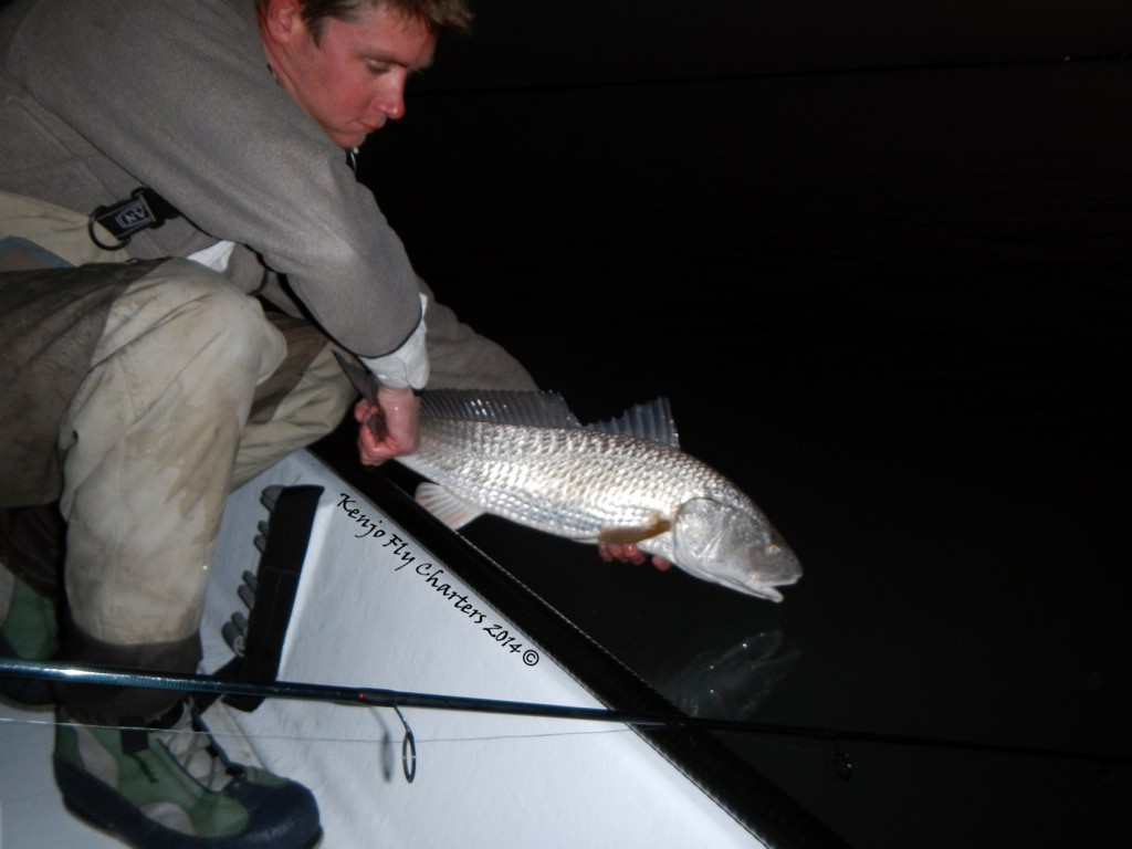 catch & release, redfish, fishing, port aransas, Texas, Coast, Gulf of Mexico
