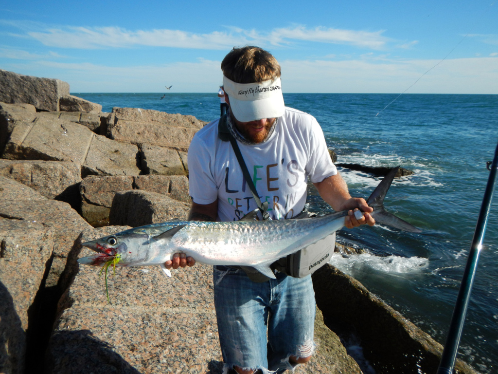 king mackerel, fly fishing, texas, coast, jetty, port aransas, corpus christi