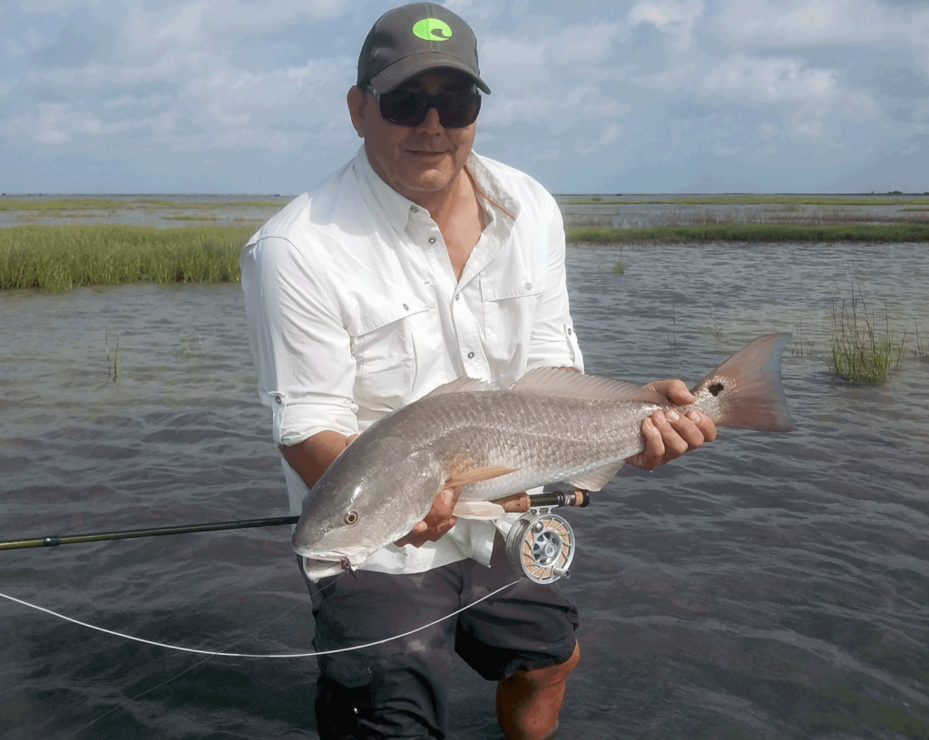 redfish, drum, fly fishing, port aransas, texas, coast, guide, saltwater, charter, airflo, sims, hatch, beavertail, marsh, spartina, grass, sunrise, mullet, crab, shrimp, fly only, catch and release, trout, speckled, speck, snaggletooth, sock, deep, water, skinny, culture, wade, fishing