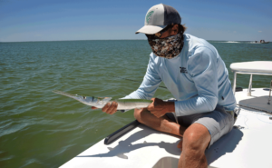redfish, drum, fly fishing, port aransas, texas, coast, guide, saltwater, charter, airflo, sims, hatch, beavertail, marsh, spartina, grass, sunrise, mullet, crab, shrimp, fly only, catch and release, trout, speckled, speck, snaggletooth, houndfish