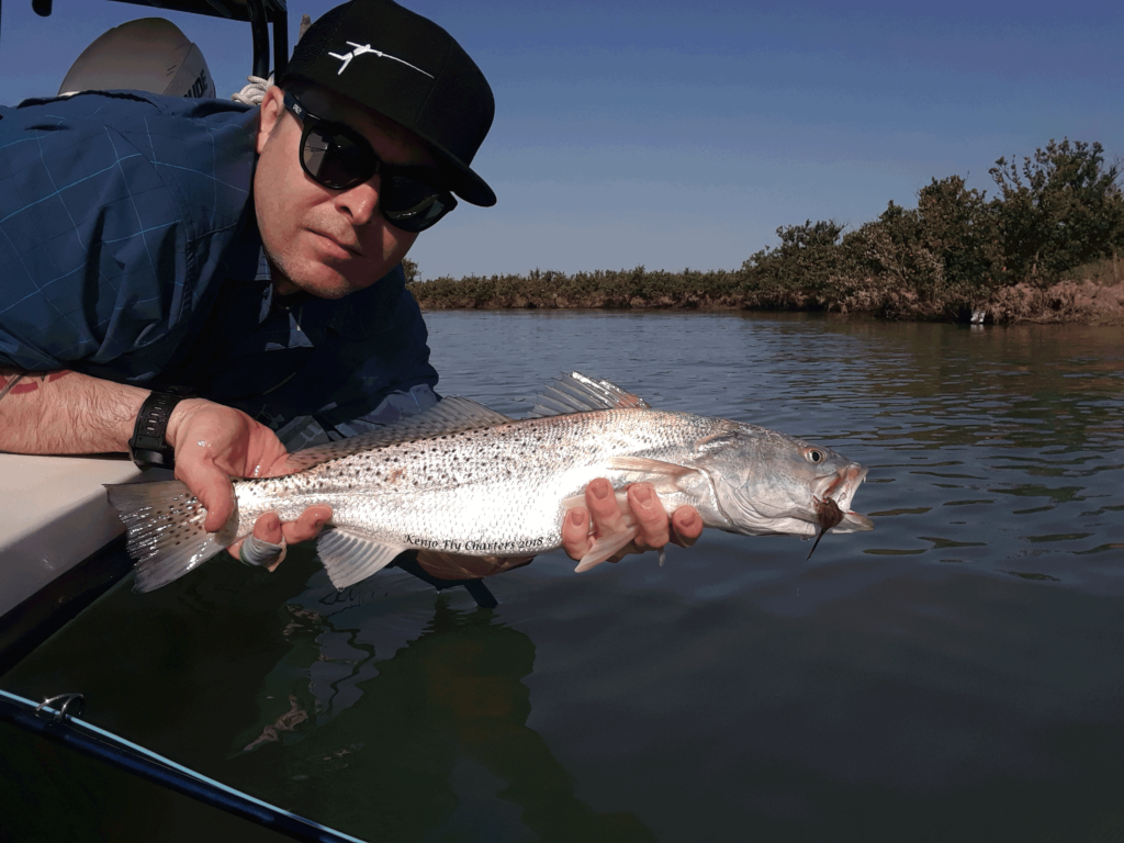 redfish, fly fishing, port aransas, texas, coast, drum, wade, fishing, shrimp,flies, grass, wind, trout, spotted, speckled, sea, guide, bayou city anglers, tailwaters, roys bait and tackle, corpus, christi, rockport, laguna madre, padre, mustang, island, vacation, bull, catch, release
