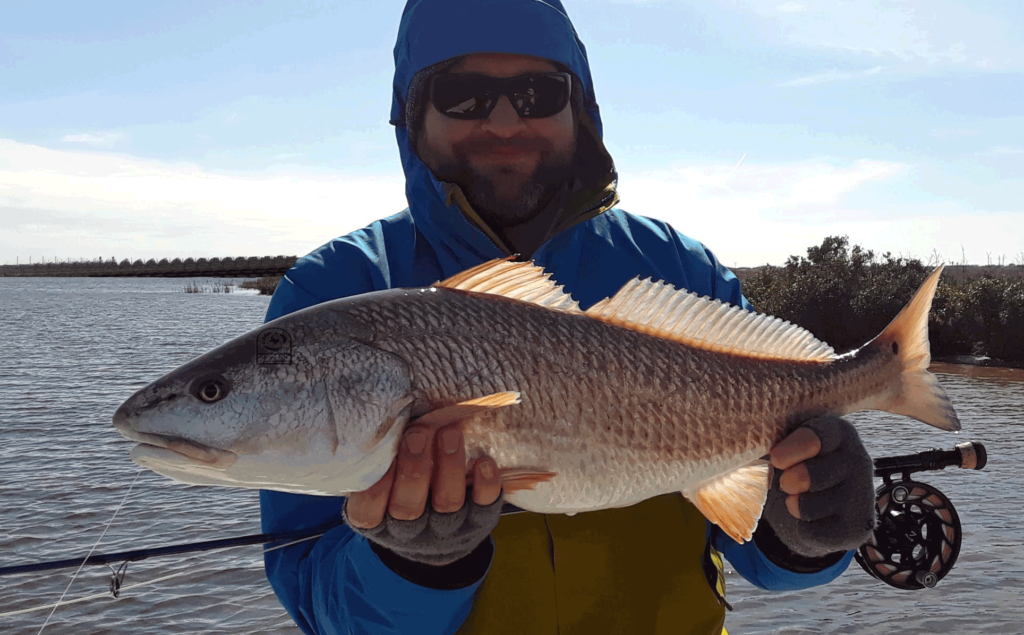 redfish, drum, red, fly, fishing, saltwater, flats, skiff, Xi3, Sage, guide, charters, port, aransas, texas, corpus, christi, rockport, bay, laguna, madre, trout, black, speck, speckled, beavertail, hatch, outdoors, recreation, conservation, eco, tour, airflo, lines, simms, rod, free fly apparel,