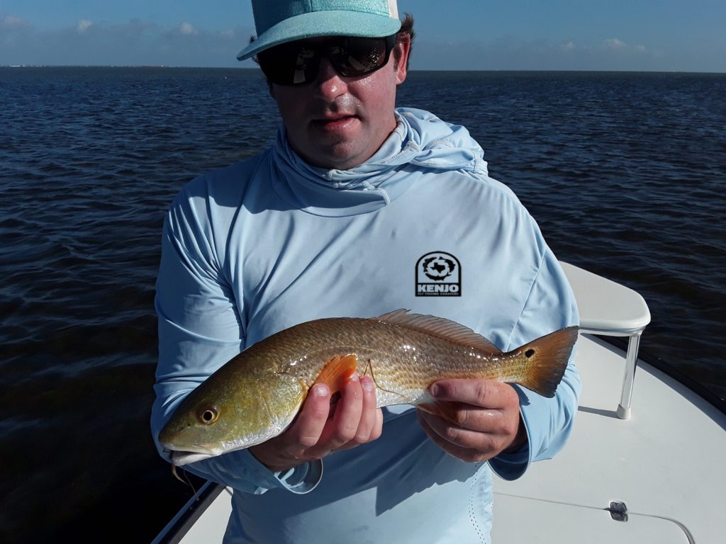 fly fishing, beavertail, hatch outdoors, fly, port, aransas, bay, guide, charters, trips, red, drum, black, redfish, airflo, lines, yamaha, engine, skiff, flats, fishing, saltwater, texas, coast, gulf, rockport, corpus, christi, simms, low, tide, red, tailing, texas