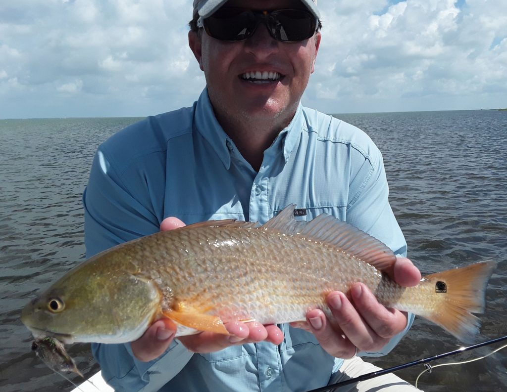 redfish, fly, fishing, guide, charter, beavertail, simms, hatch, outdoors, airflo, skiffs, flats, saltwater, winston, rods, fly, line, company, sage, flies, red, drum, black drum, trout, speckled, sea, port, aransas, texas, corpus, christi, marsh, spartina, grass, protected, whooping cranes, sandhill, birds, tour, eco, laguna, madre, poc, conner, airflo, tropical, punch, sage, rod, abel, reel, drum, guide, charters, trout, sea, speck, speckled, red, black, trip, things to do, adventure, multi-day, tail, tailing, tailers, pods, school, sage, fly, rod, beavertail, skiff, flats, saltwater, fishing, tailwaters