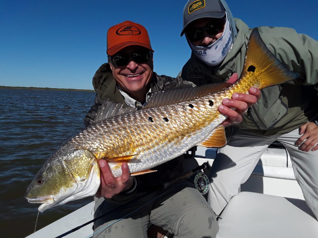 Texas Redfish colors are just golden!