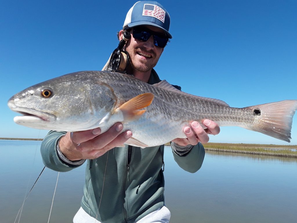 in Autumn after water temps begin to drop, redfish move into the shallows to feed heavily in preparation for the onset of winter.