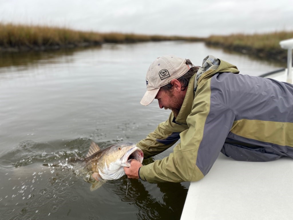 fly fishing, louisian, new orleans, hopedale, marsh, bull, red, fish, drum, beavertail, hatch outdoors, fly, bay, guide, charters, trips, red, drum, black, redfish, airflo, lines, yamaha, engine, skiff, flats, fishing, saltwater, coast, gulf, simms, charters, guide, trips