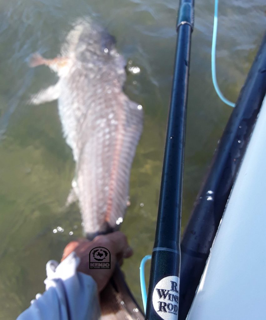 Freshwater fishing: Speck bite is solid all around Polk County, freshwater  fishing 
