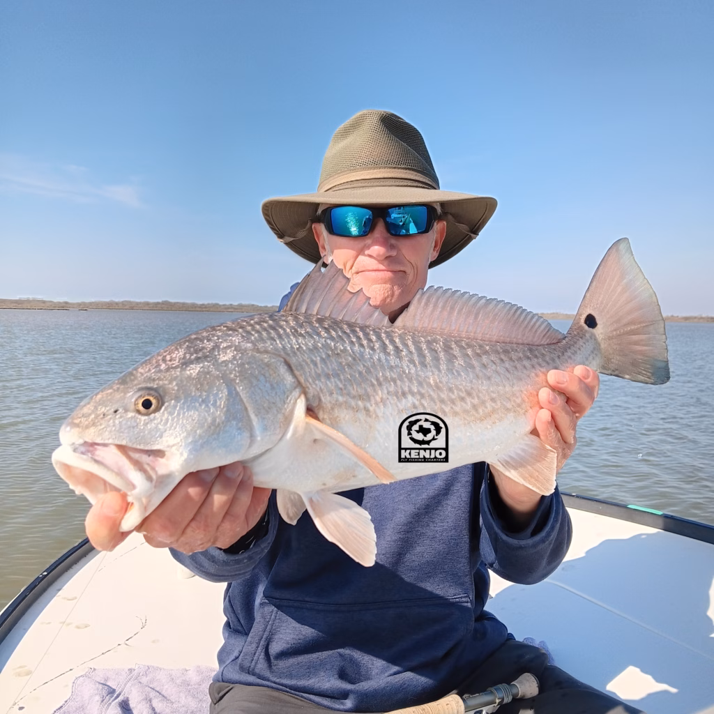Texas, fly fishing, sight cast, redfish, black drum, speckled trout, flounder, Aransas, Port Aransas, marsh, fly, guide, flats ,red, Rockport, Laguna Madre, upper, outfitters, mud, oyster, Corpus, Christi, Texas coast, sea trout, tailing, school, bull, trouthunter, henrys fork, idaho, beavertail, skiff, saltwater, winston, rods, RL, airflo, fly line
