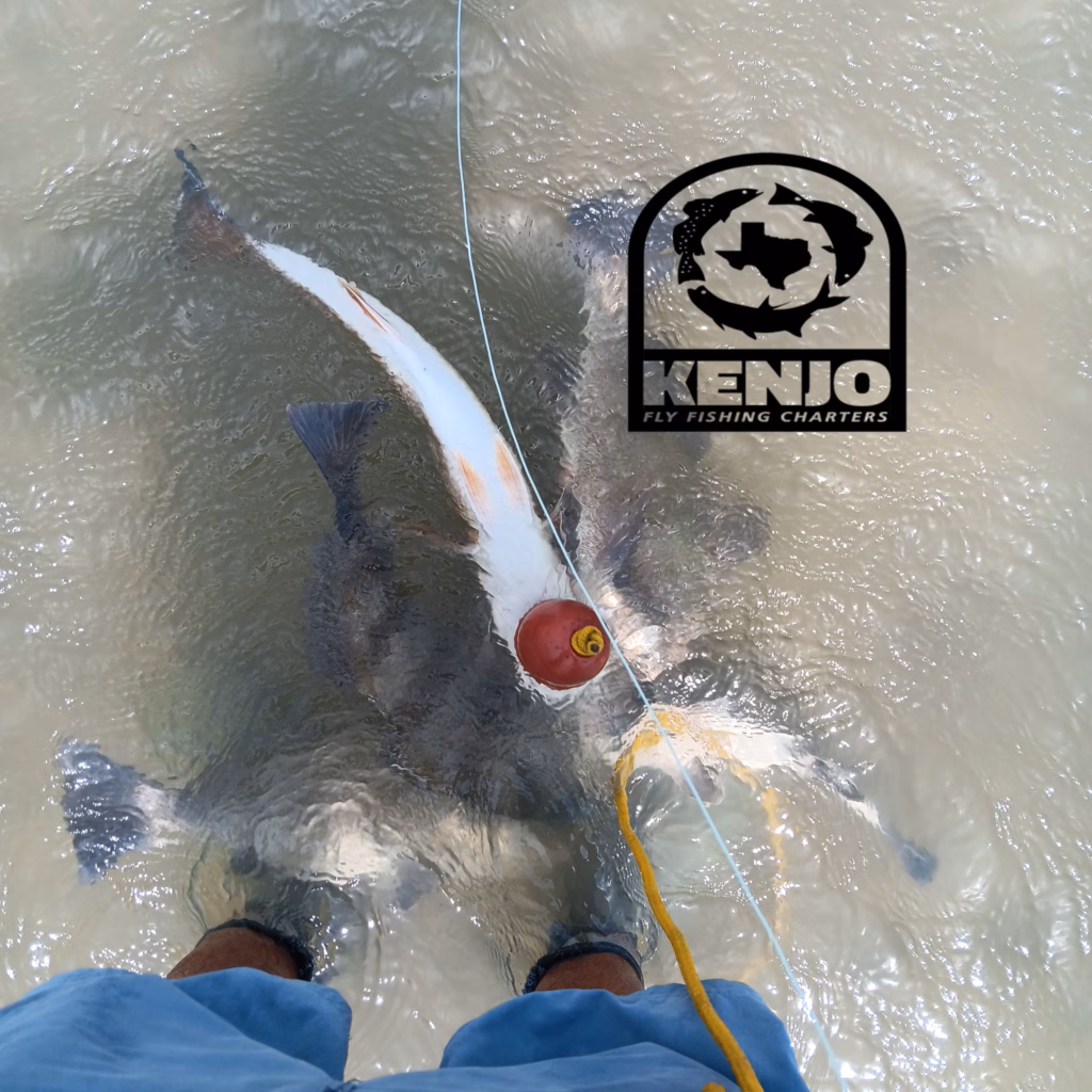stringer, aransas, pass, port aransas, fly fishing, wade, fishing, things to do, windy, conditions, black drum, redfish, fly, marsh, texas, coast, marsh, simms, boots, tailing, schools,