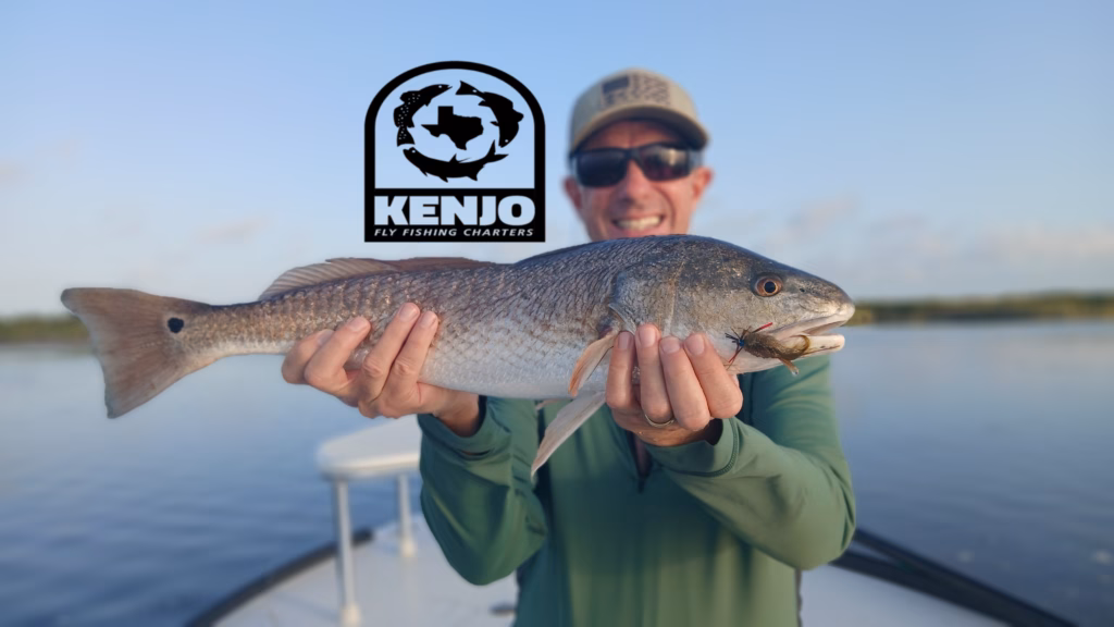 port, aransas, fly, fish, fly fishing, rockport, beavertail, texas, coast, gulf, guide, trips, corpus, airflo, sage, christi, trips, adventure, lodge, interest, beach, bay, redfish, gar, alligator, american, winston, hatch, sight fishing, on the fly, charters, trips, things to do