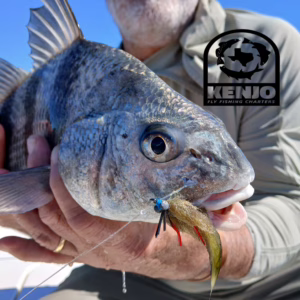 black, drum, crab, fly, fly, fishing, port, aransas, corpus, christi, rockport, aransas, st, joe, joseph, saltwater, trout, hunter, trouthunter, tippet. airflo, beavertail, skiff, winston, guide, charters, trips, adventure, to do, skiff, guide, charters, trips